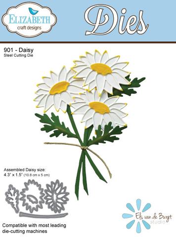 Daisy Daisy