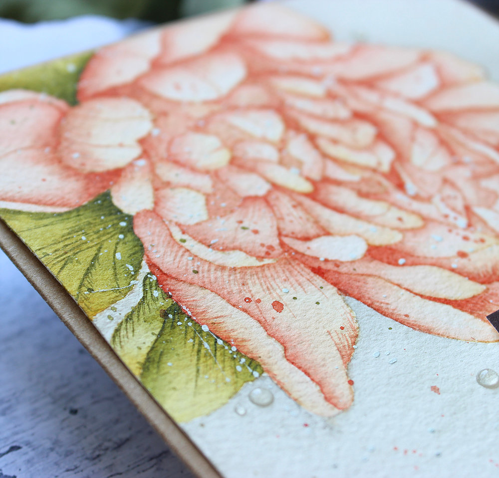 Missing You Peony - Big & Bold