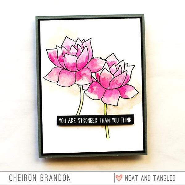 Lovely Lotus Lovely Lotus