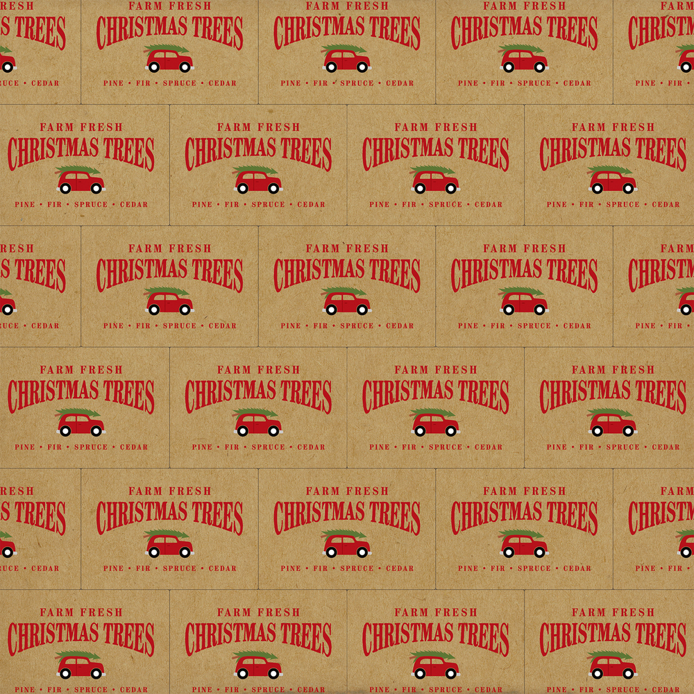 Tree Farm - Echo Park Tree Farm - Echo Park