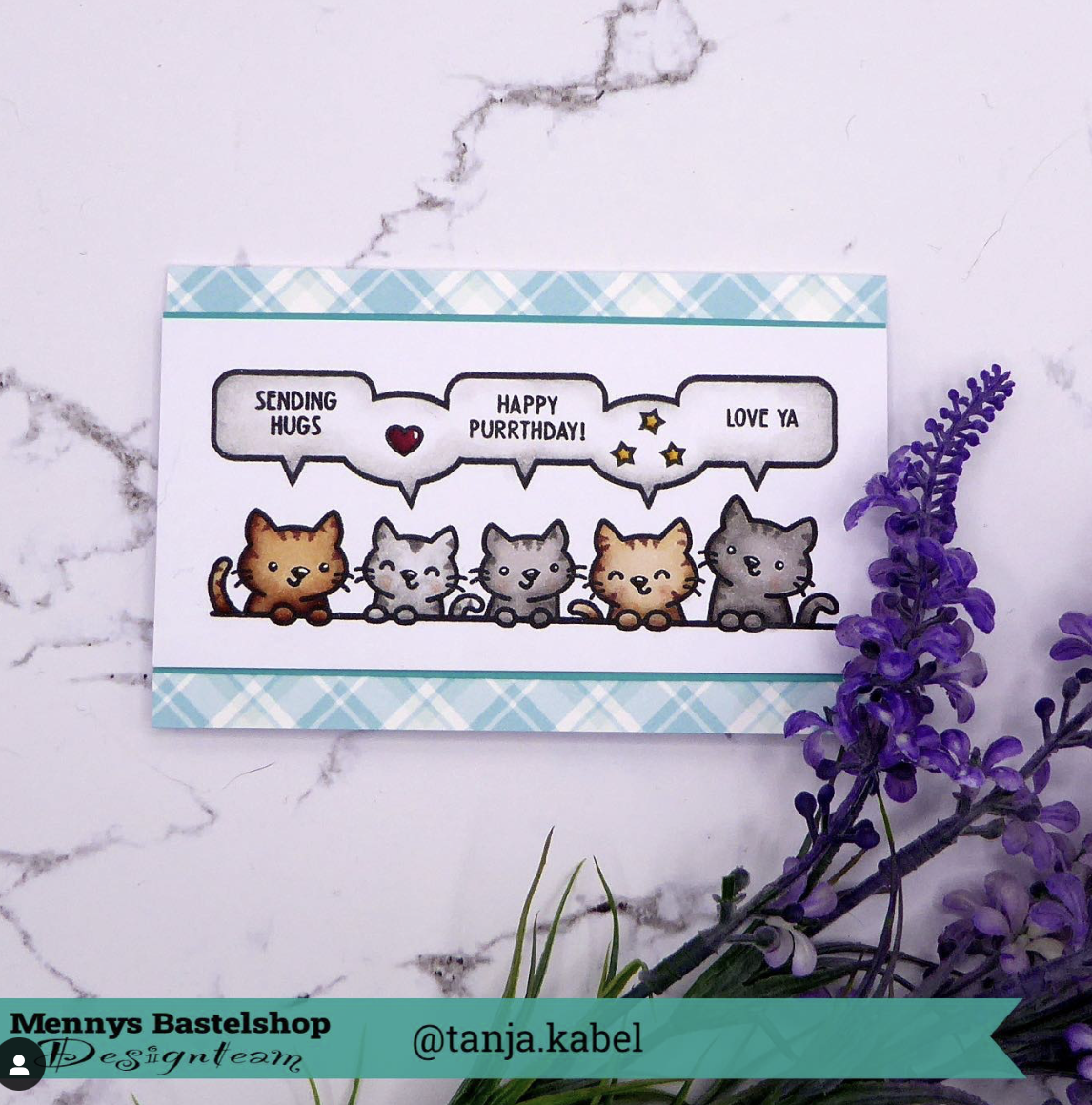 Simply Celebrate Critters