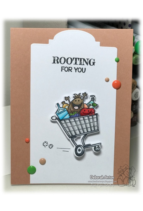 Crazy Fun Shopping Carts Crazy Fun Shopping Carts