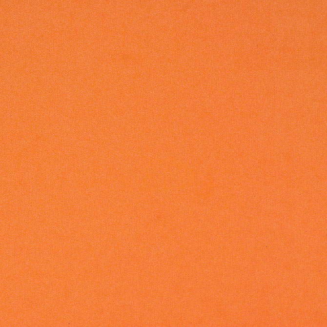 Carrot - Glitter Paper