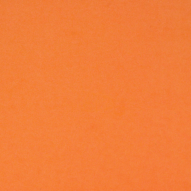 Carrot - Glitter Paper
