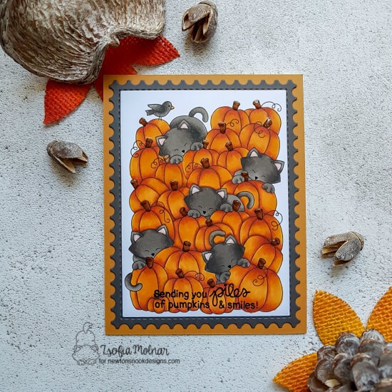 Newton's Pumpkin Patch Newton's Pumpkin Patch