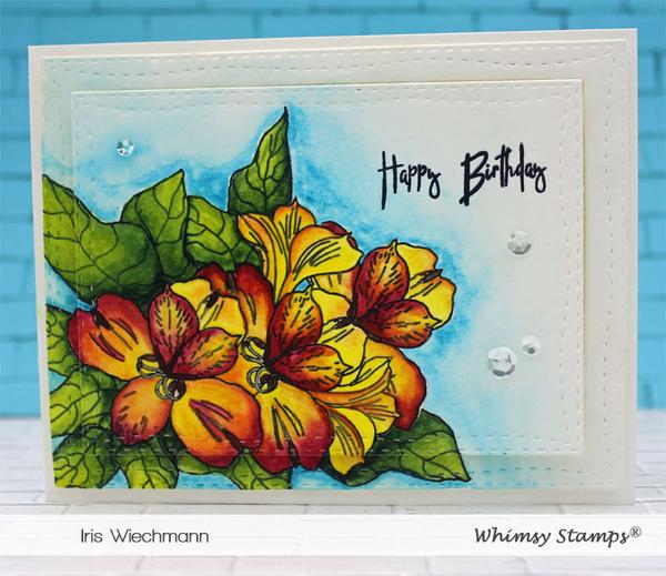 Layered Peruvian Lily