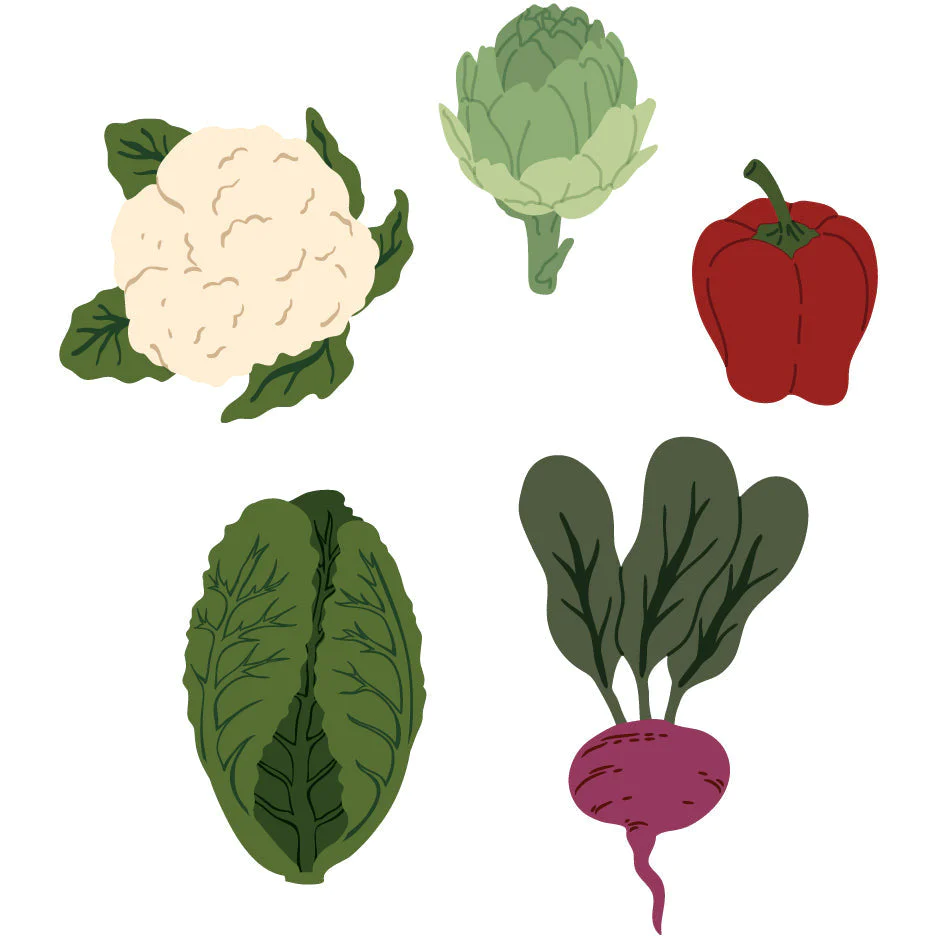 Lovely Layers: Garden Veggies - Honey Cuts
