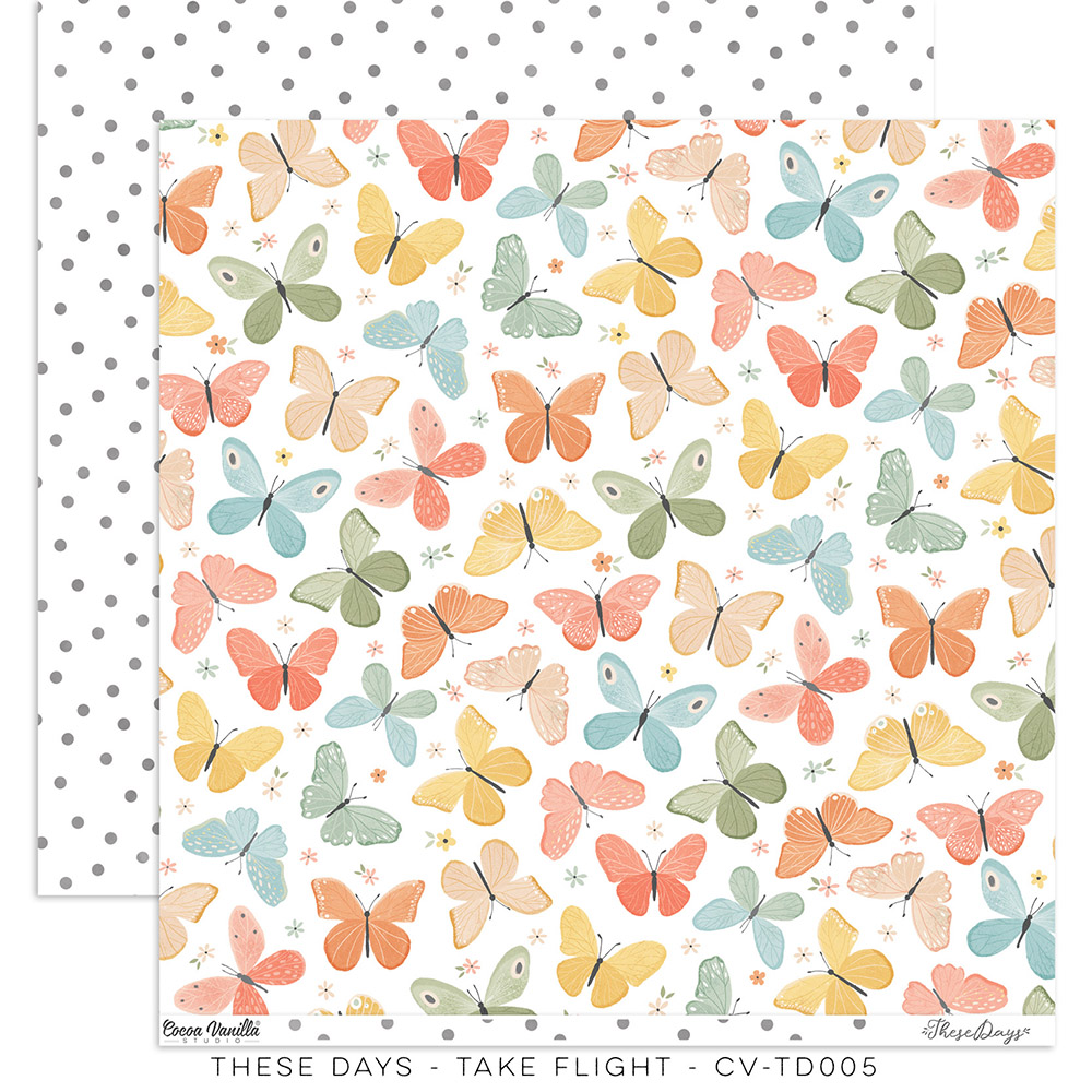 Take Flight - Paper - These Days