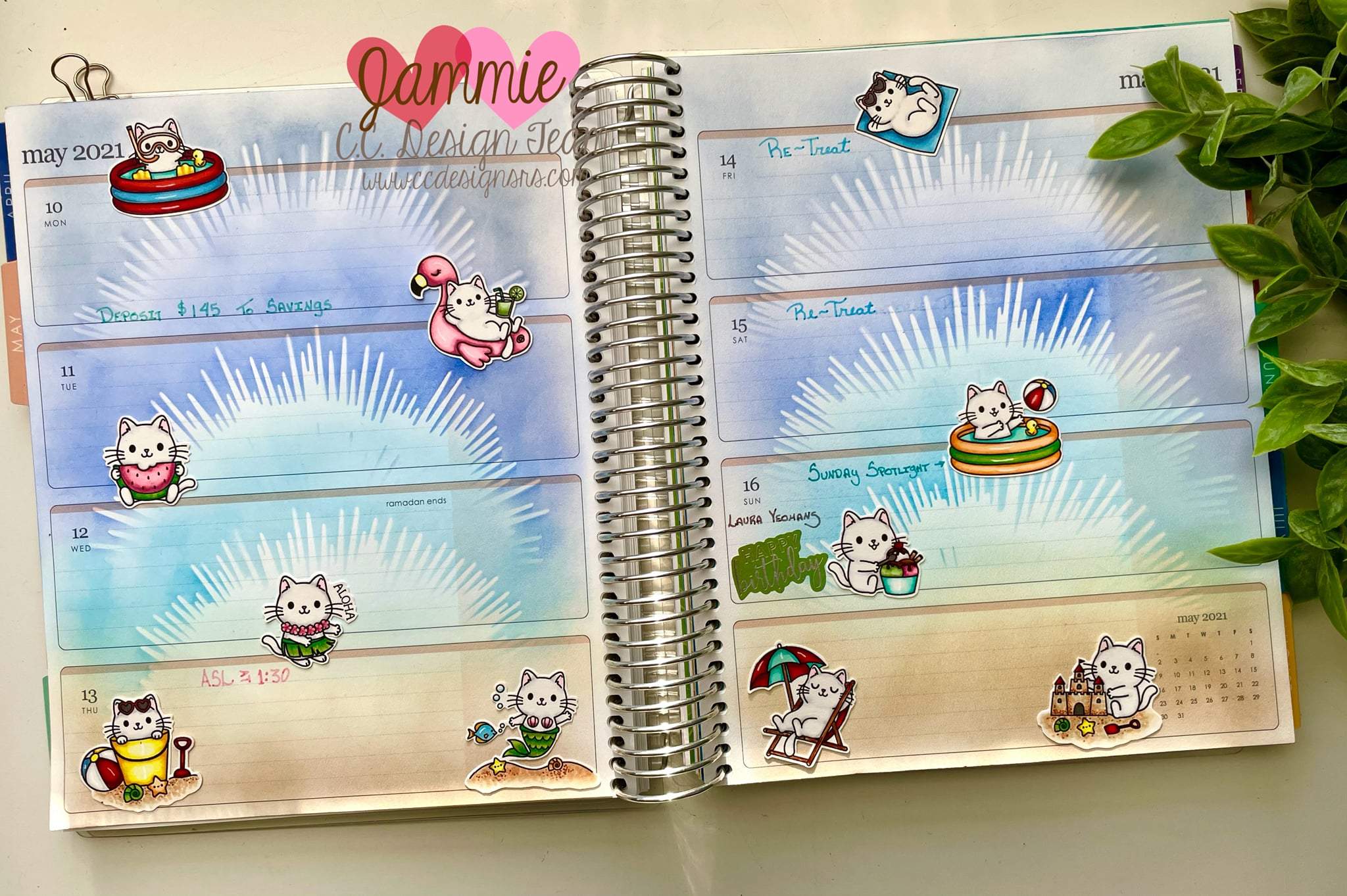 Cat Summer Cat Summer