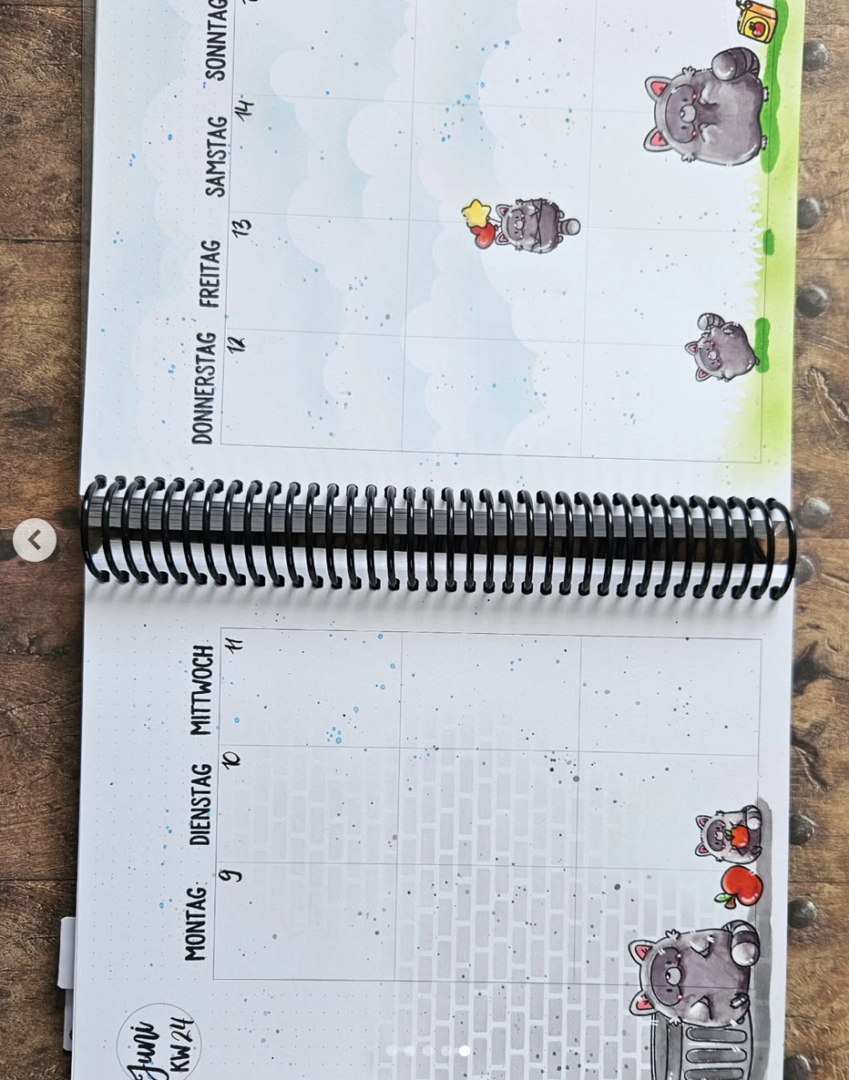 Playful Raccoons Playful Raccoons