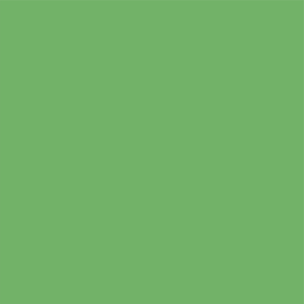 Designer Solids - Red/Light Green - Echo Park