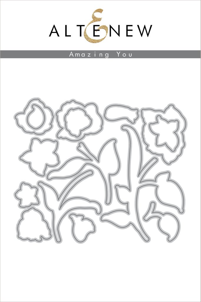 Amazing You - Die Set Amazing You - Die Set