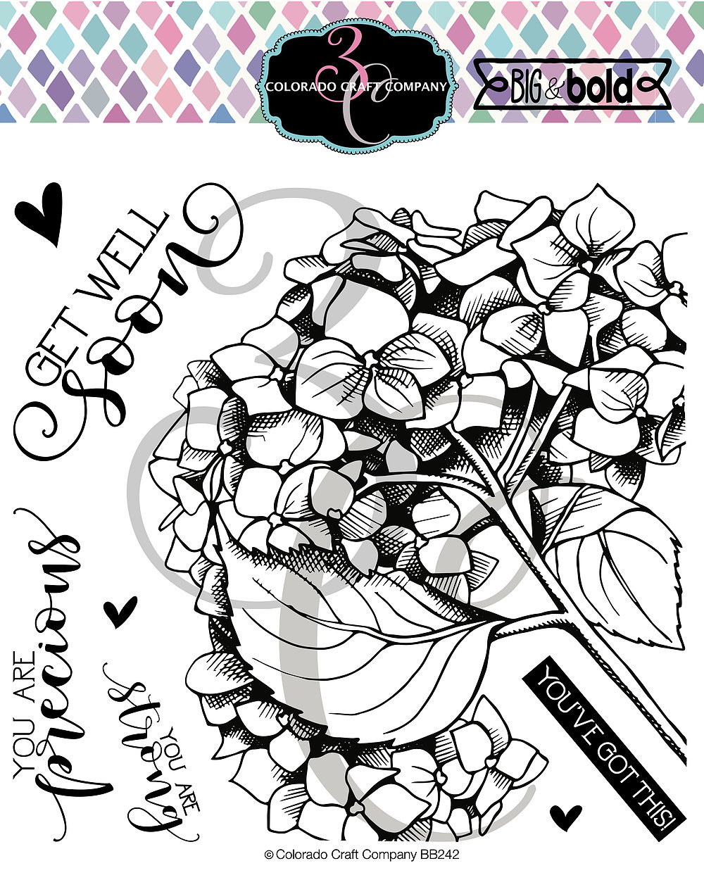 Get Well Hydrangea - Big & Bold