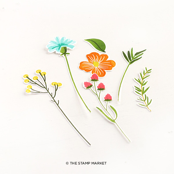 Field Flowers Field Flowers