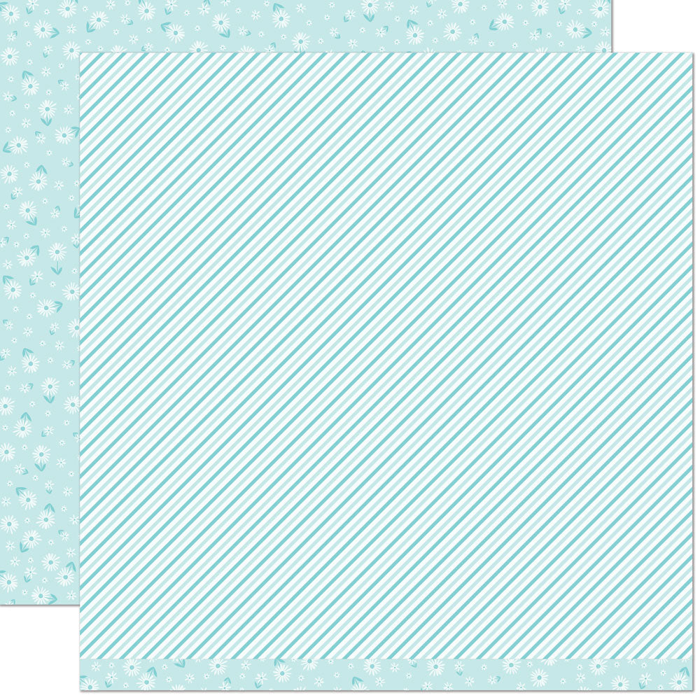 Delphinium - Flower Market Delphinium - Flower Market