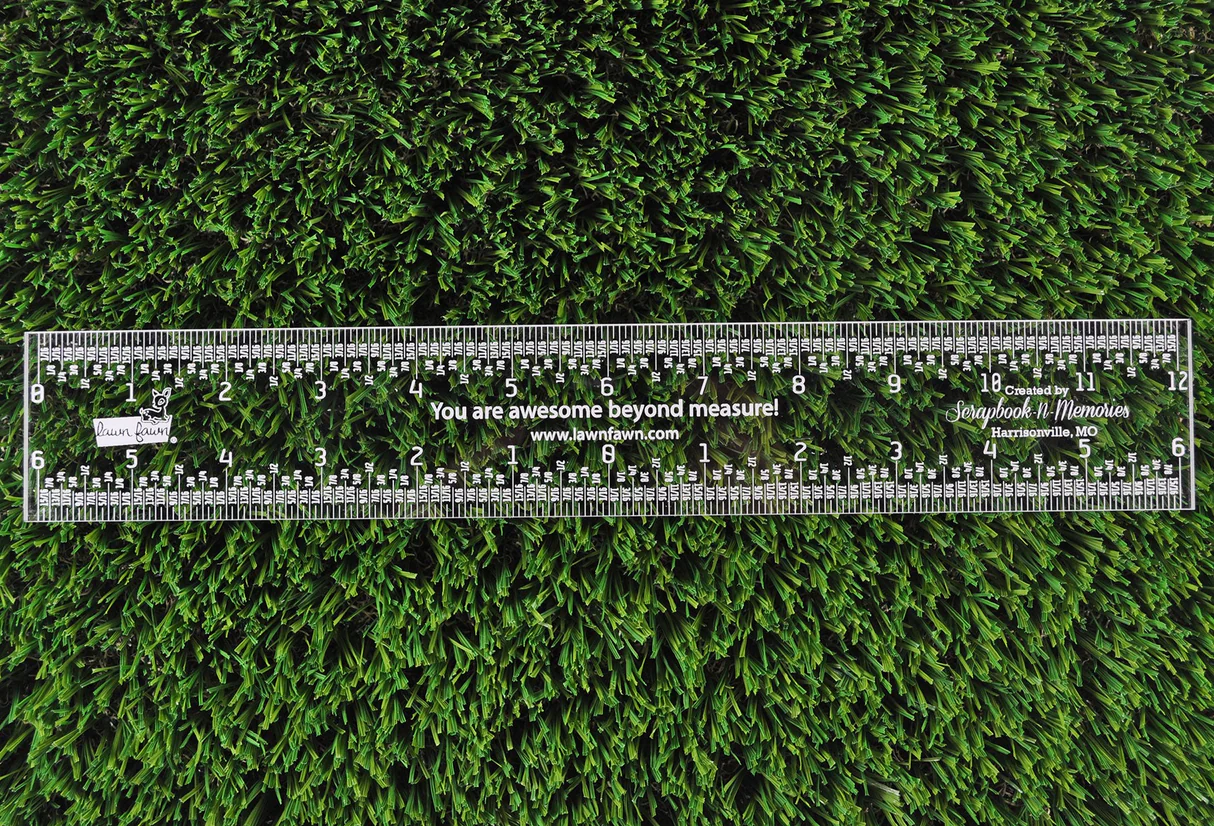 12" Clear Ruler 12" Clear Ruler