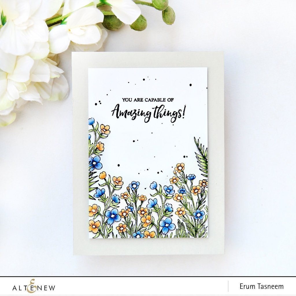 Focus on You Focus on You