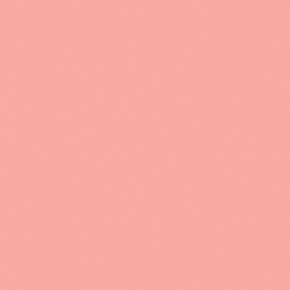 Pink/Dark Blue - Designer Solids - Echo Park Pink/Dark Blue - Designer Solids - Echo Park