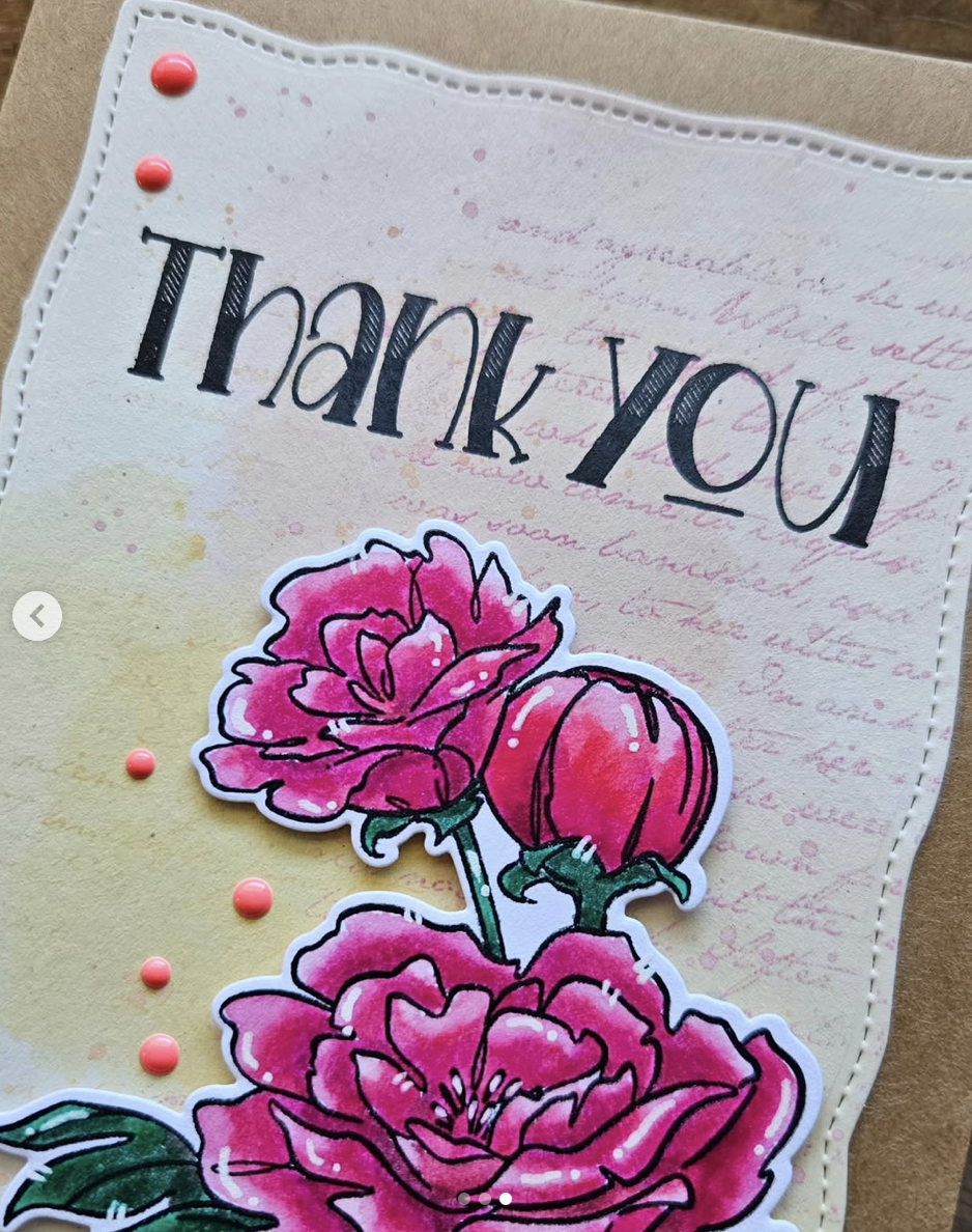 Nature Blooms Nature Blooms