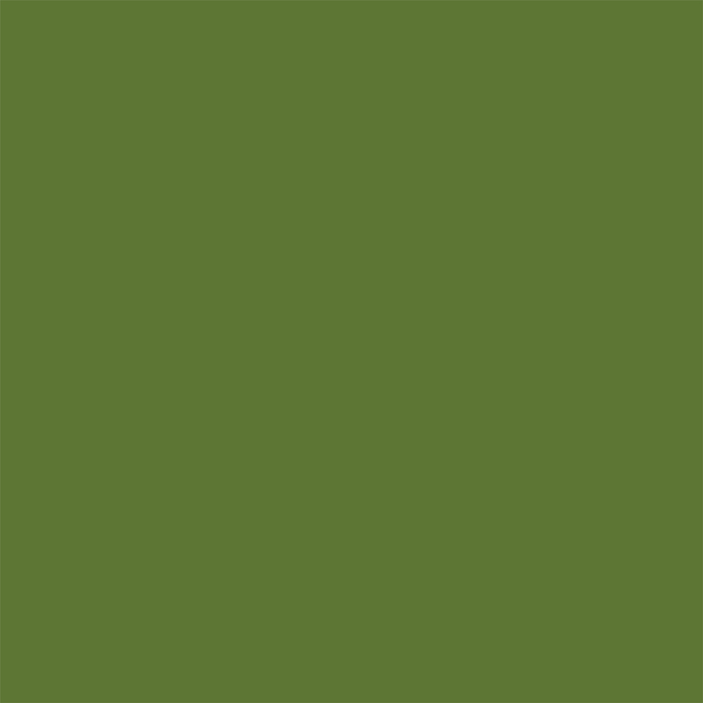 Designer Solids - Kraft/Dark Green - Echo Park Designer Solids - Kraft/Dark Green - Echo Park