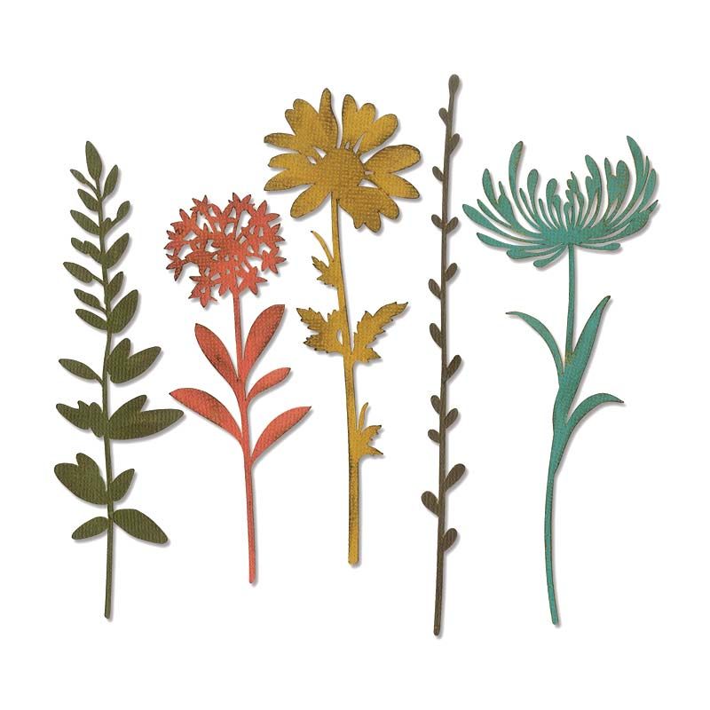 Wildflower Stems #1 - Sizzix Thinlits Dies By Tim Holtz