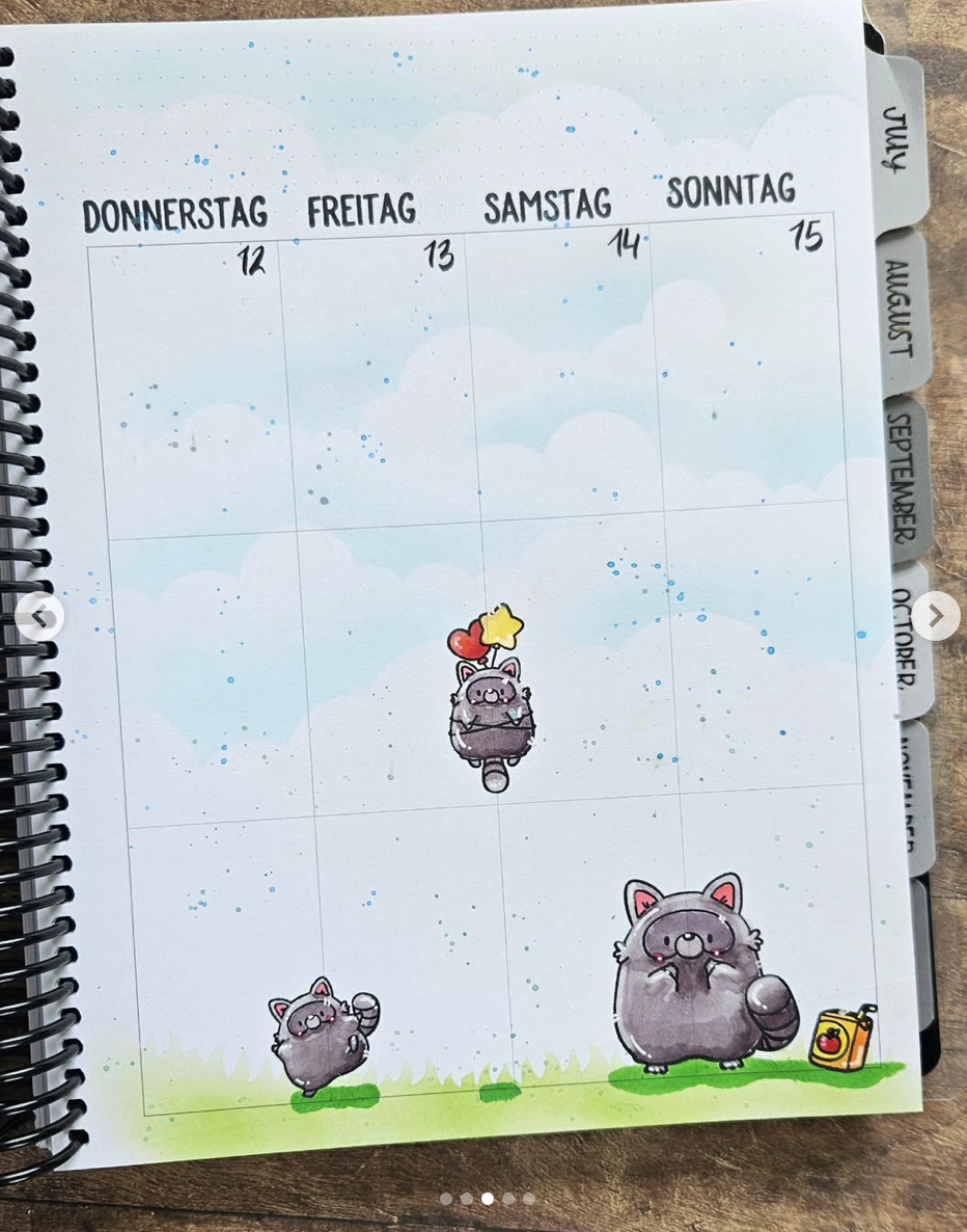 Playful Raccoons Playful Raccoons