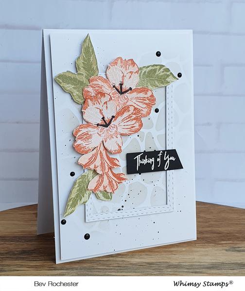 Layered Peruvian Lily