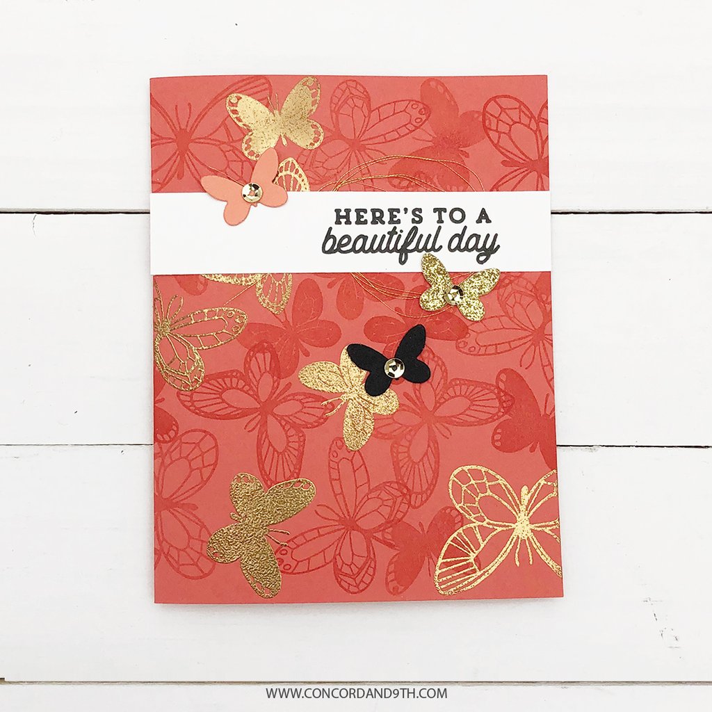 Beautiful Butterfly Beautiful Butterfly