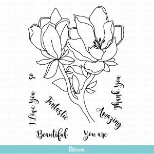 Bloom
