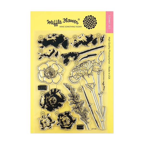 Carnations Carnations