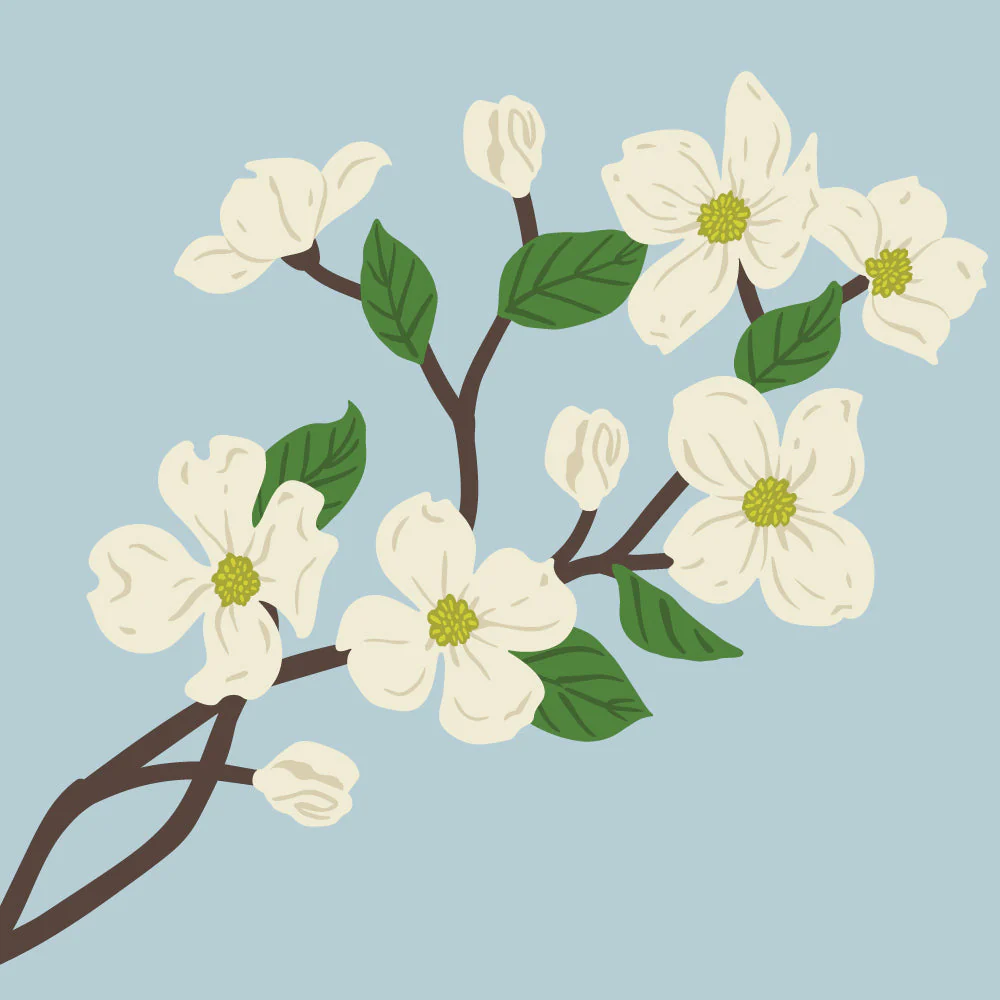 Lovely Layers: Dogwood - Honey Cuts Lovely Layers: Dogwood - Honey Cuts