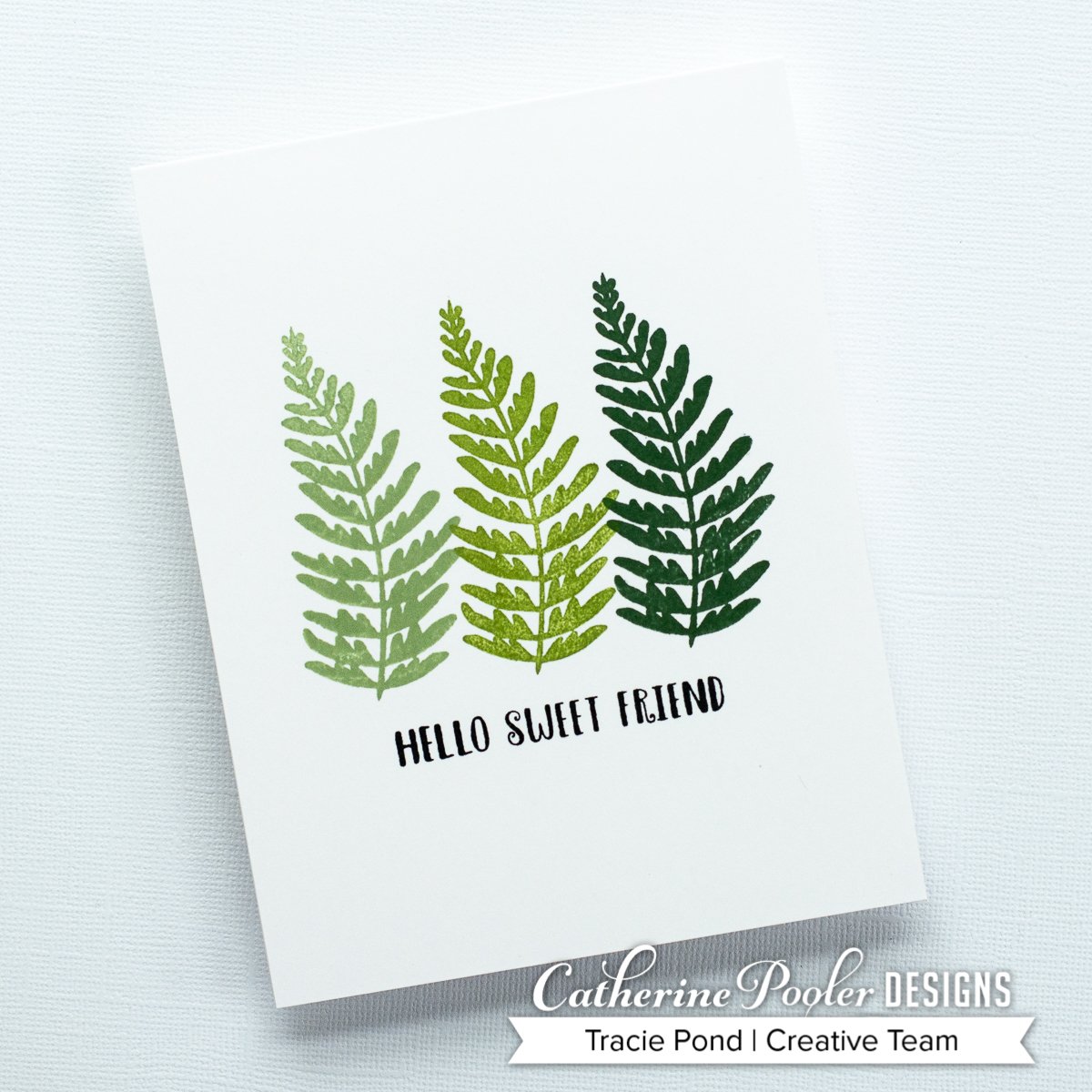 Forest Foliage Forest Foliage