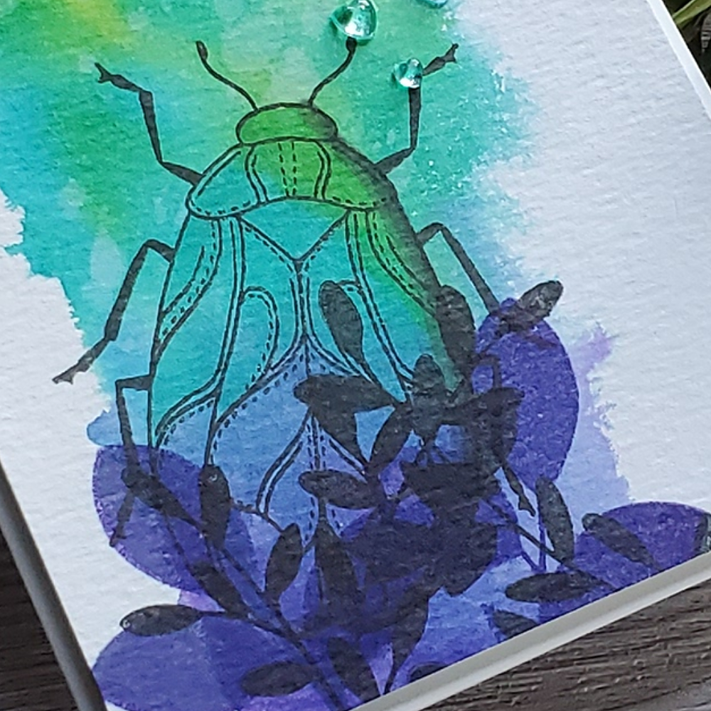 Brilliant Beetle - Big & Bold Brilliant Beetle - Big & Bold