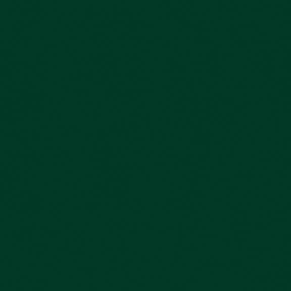 Forest Green - Classic Cardstock - My Mind´s Eye Forest Green - Classic Cardstock - My Mind´s Eye