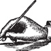 Writer
