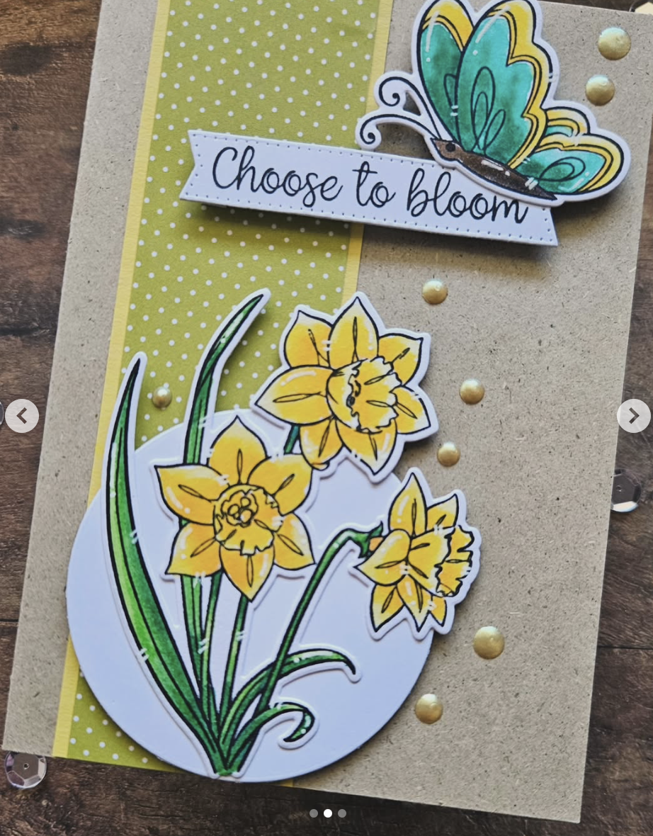 Nature Blooms Nature Blooms