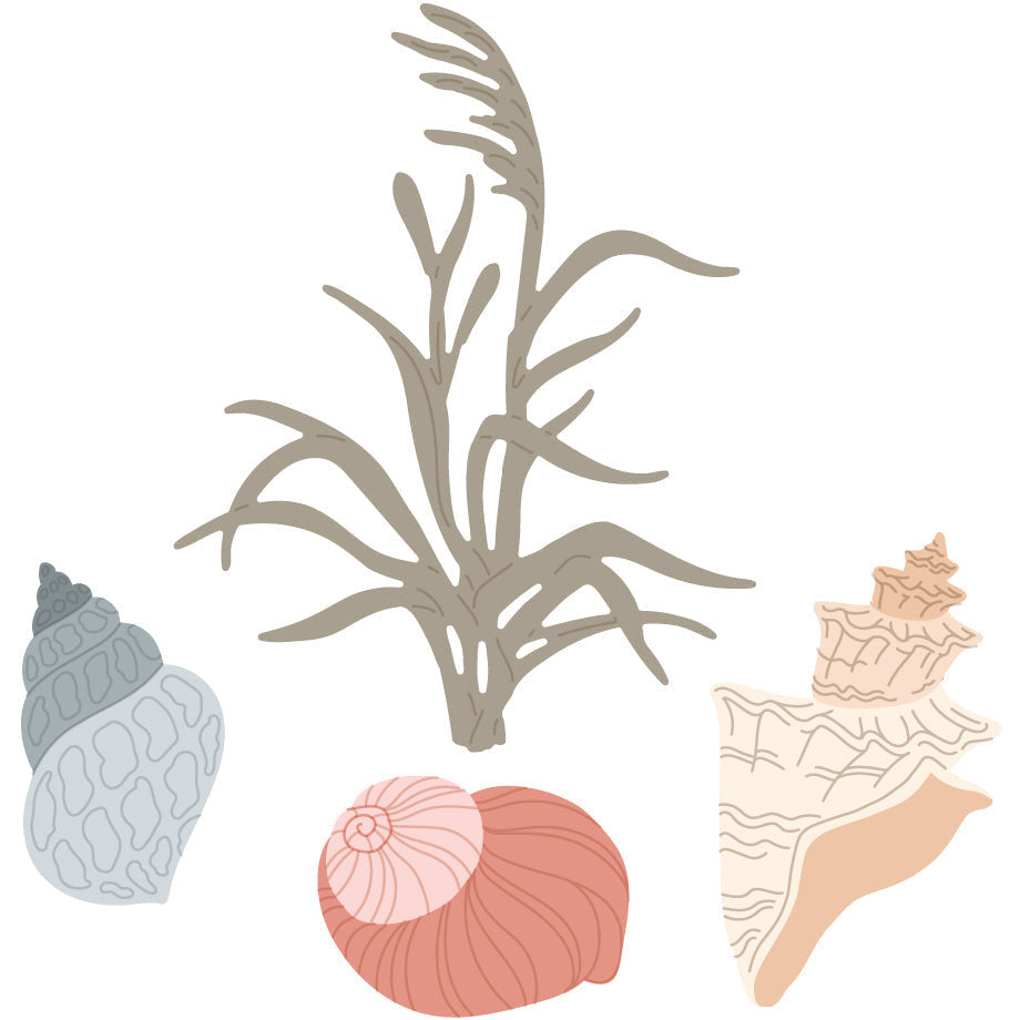 Seashore - Lovely Layers - Honey Cuts Seashore - Lovely Layers - Honey Cuts