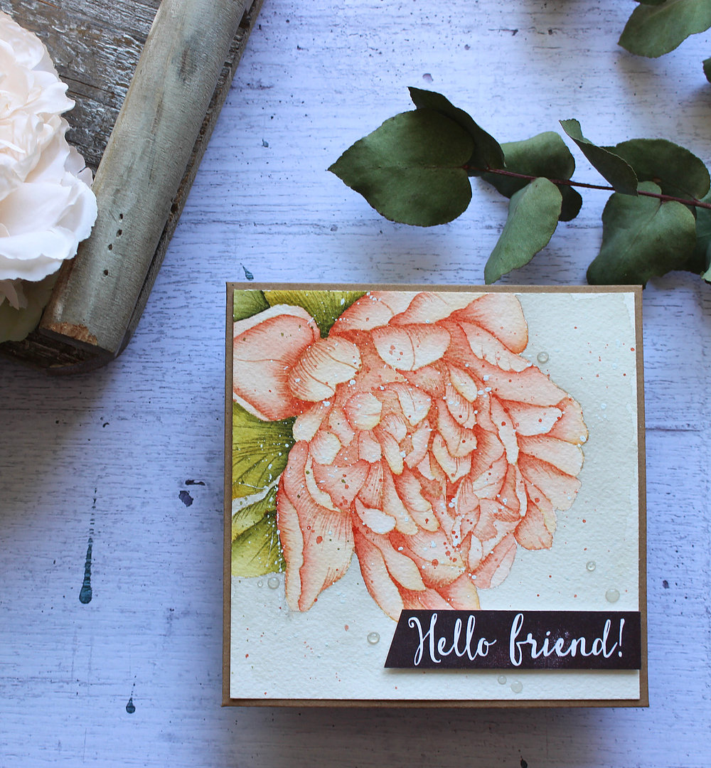 Missing You Peony - Big & Bold