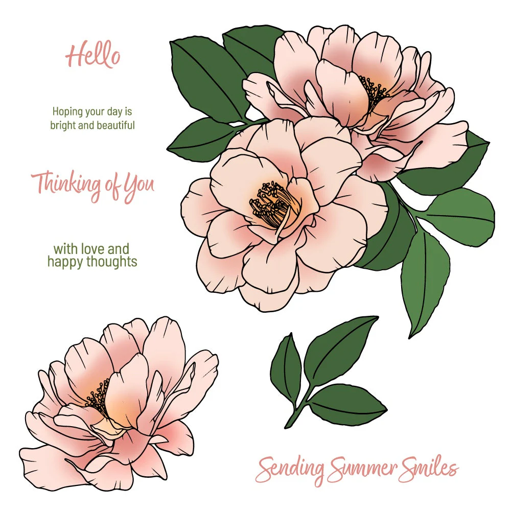 Summer Smiles