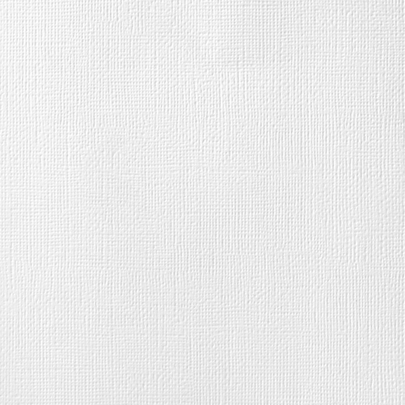 Textured Cardstock - White