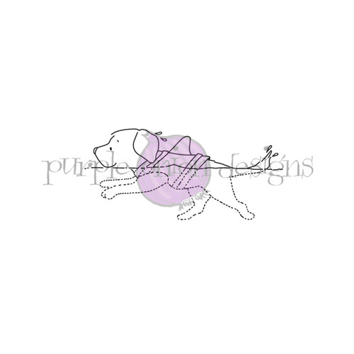 Ollie Swims (dog) - Holly Mabutas Ollie Swims (dog) - Holly Mabutas