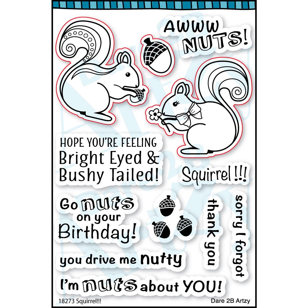 Squirrel Squirrel