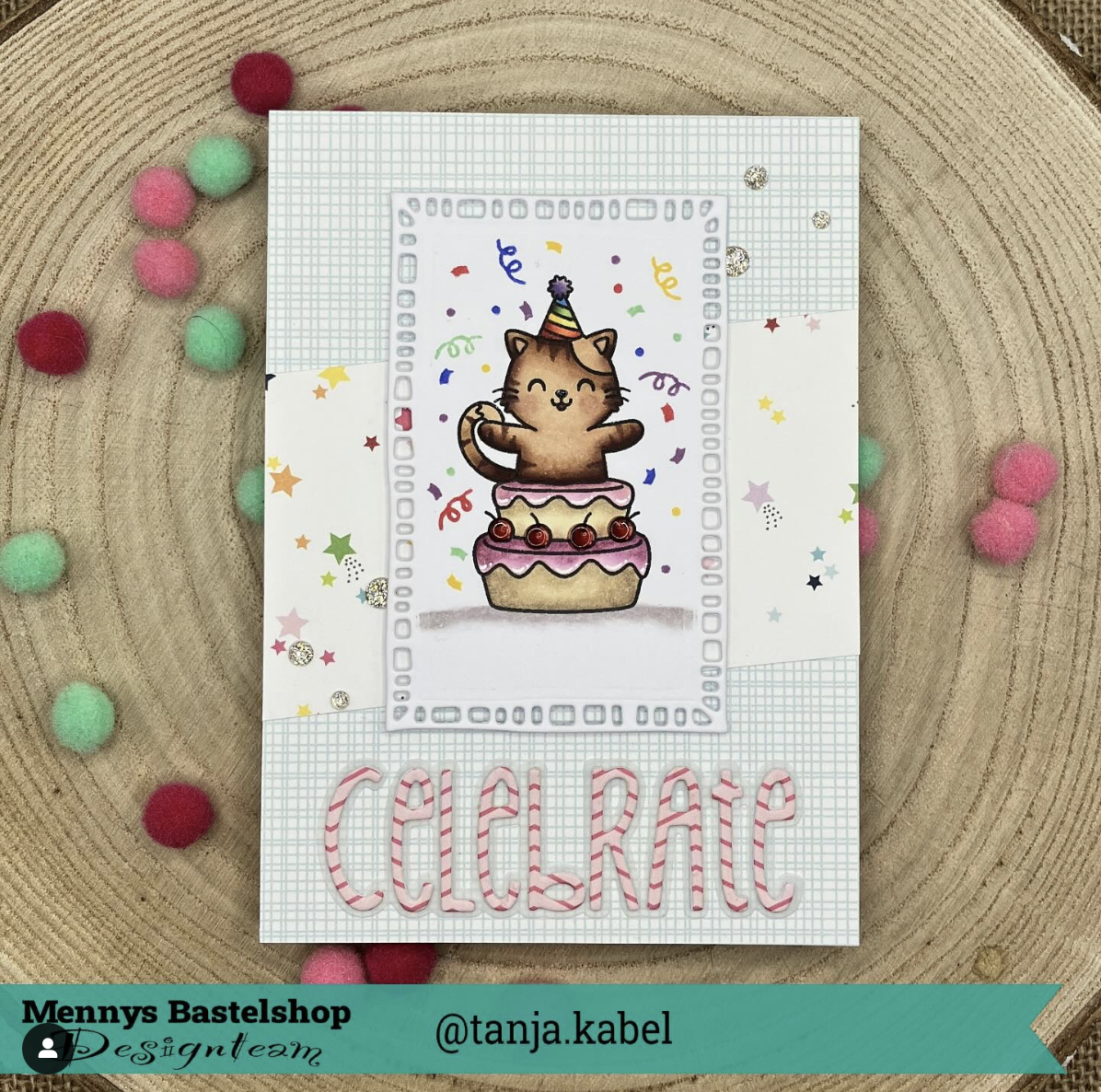 Party Pets Party Pets