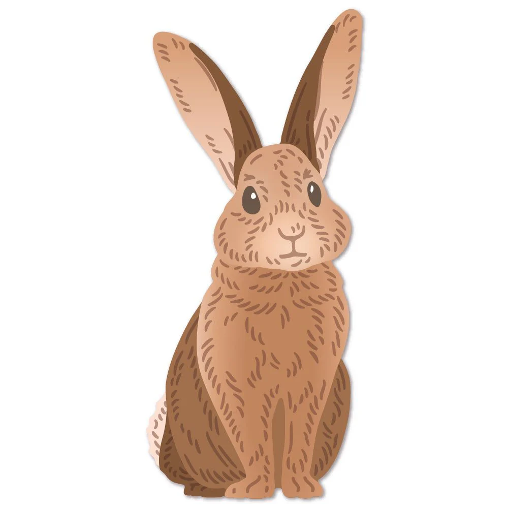 Rabbit: Lovely Layers - Honey Cuts Rabbit: Lovely Layers - Honey Cuts