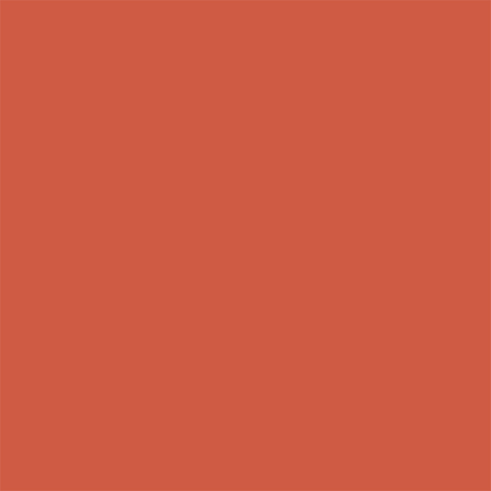 Coral/Green - Designer Solids - Coffee - Echo Park Coral/Green - Designer Solids - Coffee - Echo Park