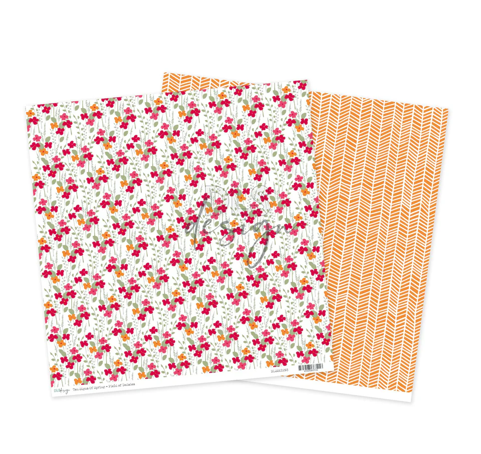 Field Of Daisies - Ten Signs Of Spring Field Of Daisies - Ten Signs Of Spring