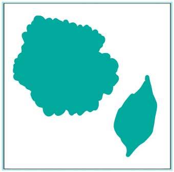 Through Thick and Thin - Dies