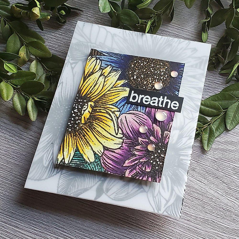 Daisy & Dahlia - Big & Bold