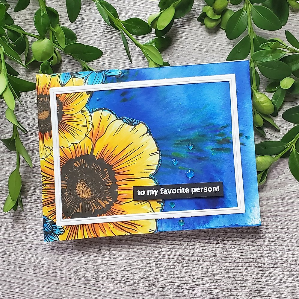 Anemone & Alium - Big & Bold Anemone & Alium - Big & Bold