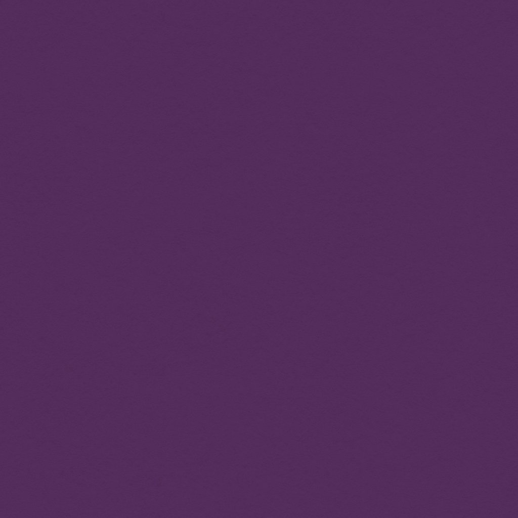 Orchid - Classic Cardstock - My Mind´s Eye